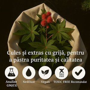 Ulei de Ricin 100% Presat la rece 100ML + Pipetă CADOU