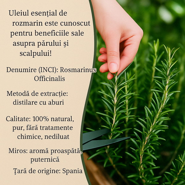 Set de 2 uleiuri esențiale de rozmarin 100% PUR + Pipeta CADOU