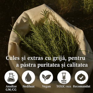 Set de 2 uleiuri esențiale de rozmarin 100% PUR + Pipeta CADOU
