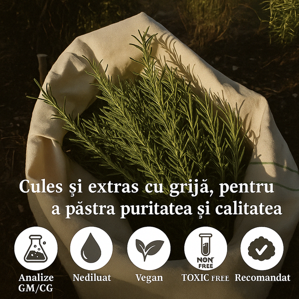 Set de 2 uleiuri esențiale de rozmarin 100% PUR + Pipeta CADOU